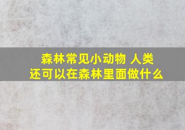 森林常见小动物 人类还可以在森林里面做什么